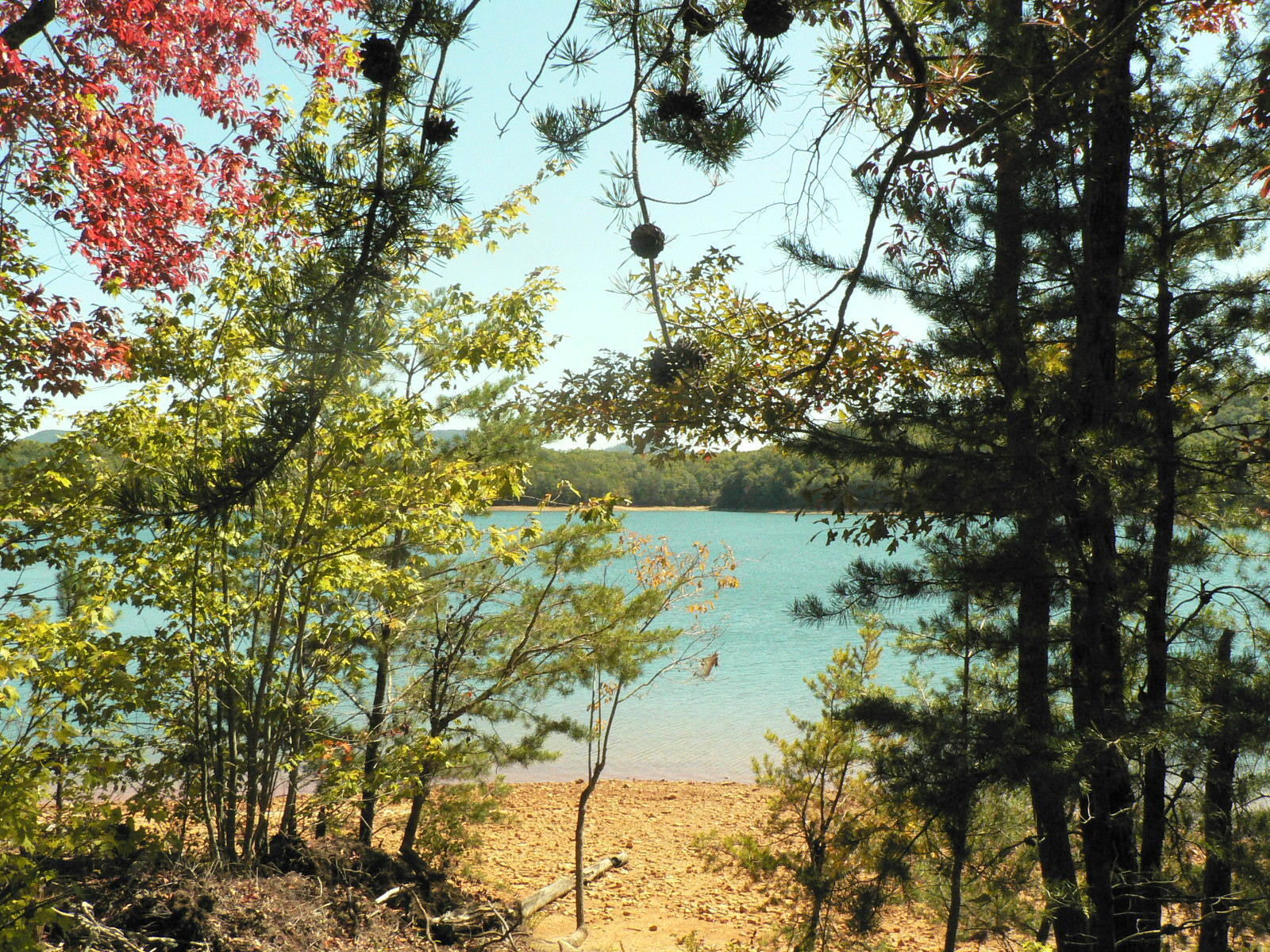 Things To Do Lake Blue Ridge Loop Trail